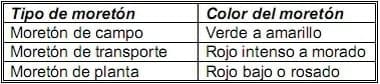 Las horas más importantes del pollo de engorde - Image 3