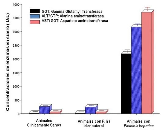 Efectos de los beta-agonistas (clenbuterol), en las actividades fisio-hepáticas y reproductivas en rumiantes - Image 4