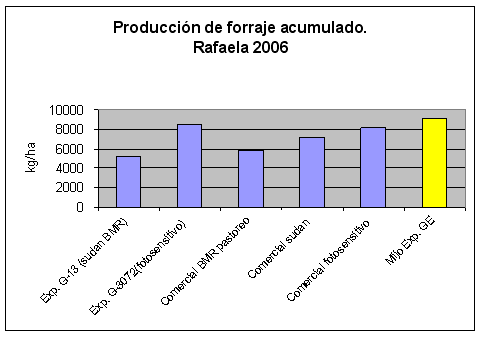 Verdeos de verano - Alternativas para ambientes marginales - Image 3