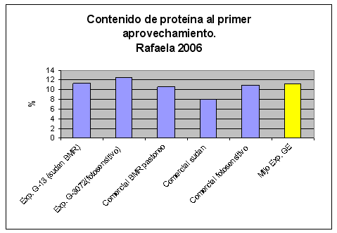 Verdeos de verano - Alternativas para ambientes marginales - Image 4