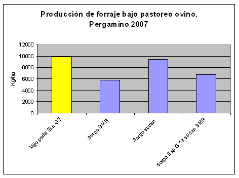 Verdeos de verano - Alternativas para ambientes marginales - Image 5