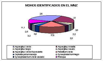 Efecto de las propiedades inhibitorias de mohos a escala de laboratorio de tres productos comerciales compuestos por sales derivados del acido propionico llamados fungitek dry, action y grain sobre los mohos presentes en el maíz (zea mays) - Image 3
