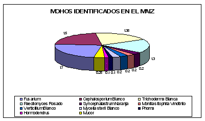 Efecto de las propiedades inhibitorias de mohos a escala de laboratorio de tres productos comerciales compuestos por sales derivados del acido propionico llamados fungitek dry, action y grain sobre los mohos presentes en el maíz (zea mays) - Image 4