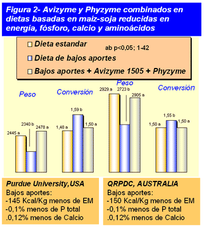 Reducción del costo del alimento mediante la utilización de enzimas - Image 3