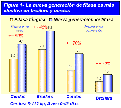 Reducción del costo del alimento mediante la utilización de enzimas - Image 2
