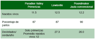 Gestación en corrales con estaciones de comederos electrónicos - Image 3