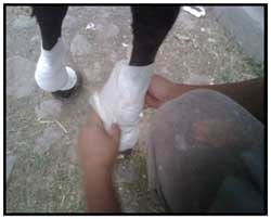 Entendiendo el proceso de curación de una herida - Image 6