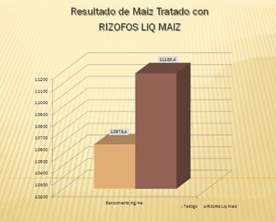 Bacterias Solubilizadoras de Fósforo - Image 5