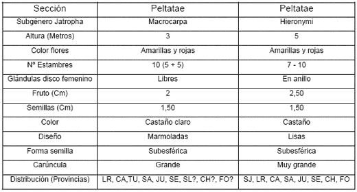 Jatropha, Perspectivas para la República Argentina - Image 6