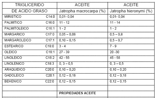 Jatropha, Perspectivas para la República Argentina - Image 7