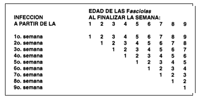 Recomendaciones para el Control de la Fasciola Hepática - Image 1