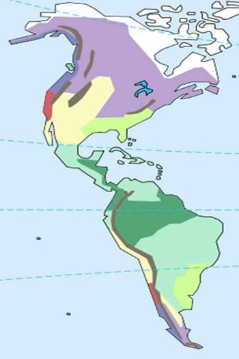 Beneficios de la Ganadería Intensiva Tropical con Resultados de Campo - Image 1