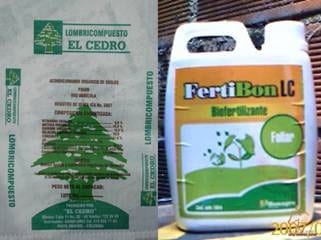 Beneficios de la Ganadería Intensiva Tropical con Resultados de Campo - Image 14