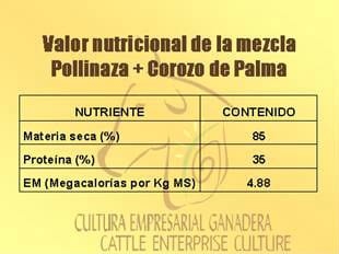 Beneficios de la Ganadería Intensiva Tropical con Resultados de Campo - Image 55