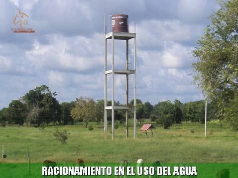 Beneficios de la Ganadería Intensiva Tropical con Resultados de Campo - Image 60