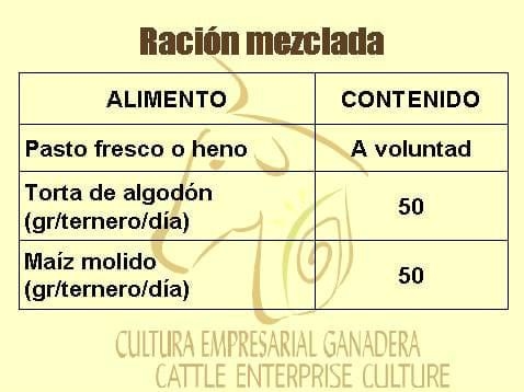 Beneficios de la Ganadería Intensiva Tropical con Resultados de Campo - Image 67
