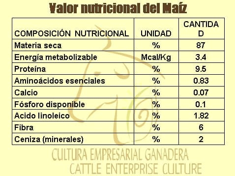 Beneficios de la Ganadería Intensiva Tropical con Resultados de Campo - Image 68