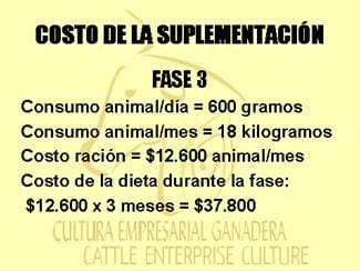 Beneficios de la Ganadería Intensiva Tropical con Resultados de Campo - Image 81