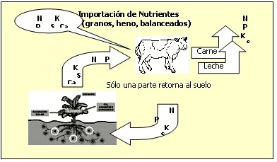 Tecnologías de Fertilización: Qué necesitamos saber a la hora de fertilizar una pastura o verdeo - Image 1