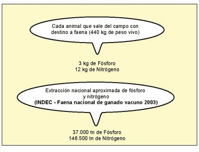 Tecnologías de Fertilización: Qué necesitamos saber a la hora de fertilizar una pastura o verdeo - Image 2