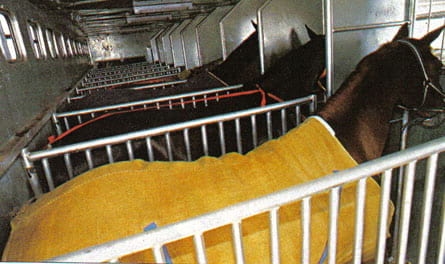 Transporte de equinos, Requisitos sanitarios y documentación - Image 1