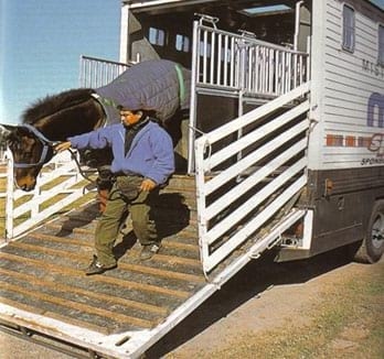 Transporte de equinos, Requisitos sanitarios y documentación - Image 3