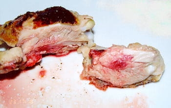 Pollo sanguinolento - Image 2