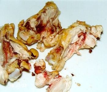 Pollo sanguinolento - Image 4
