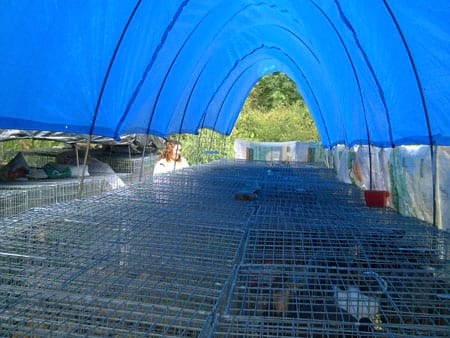 Instalaciones al aire libre. Propuesta alternativa - Image 2