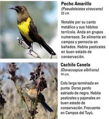 Produccion equina con concepto ambiental - Image 16