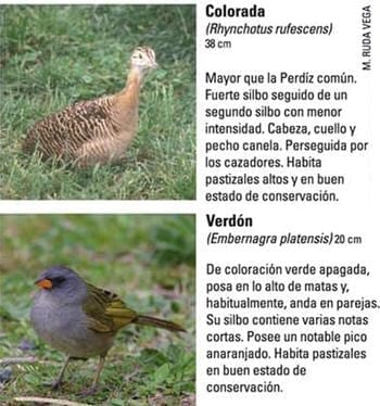 Produccion equina con concepto ambiental - Image 18