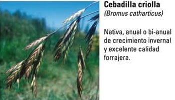 Produccion equina con concepto ambiental - Image 3