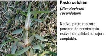 Produccion equina con concepto ambiental - Image 6