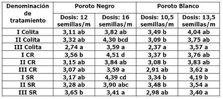 Calidad de implantación de maíz y poroto en relación al diseño y regulación de la sembradora - Image 25
