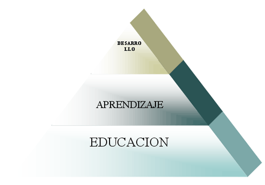 Capacitación de Recursos Humanos en el sector agropecuario - Image 7
