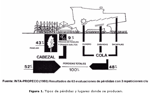 Metodología para Determinar Pérdidas en la Cosecha de Sorgo Granífero - Image 1