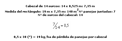 Metodología para Determinar Pérdidas en la Cosecha de Sorgo Granífero - Image 6