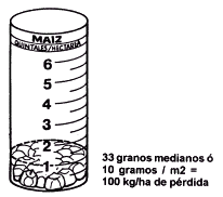 Determinación de Pérdidas durante la Cosecha de Maíz - Image 6
