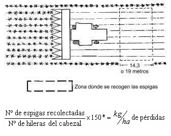 Determinación de Pérdidas durante la Cosecha de Maíz - Image 7
