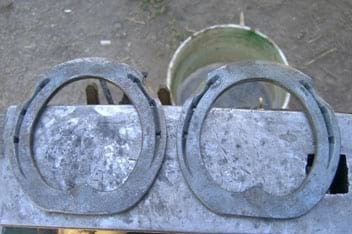 Los cuartos. Dolorosas fisuras en la pared del casco del caballo - Image 8