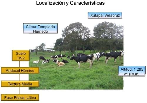 Triticale, una alternativa real de producción forrajera de calidad en el ciclo otoño – invierno - Image 1