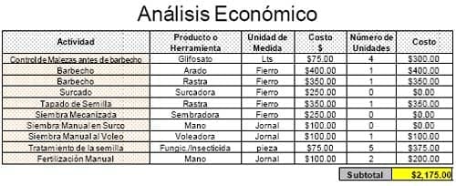 Triticale, una alternativa real de producción forrajera de calidad en el ciclo otoño – invierno - Image 13