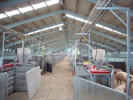 Gestaciones con estaciones electrónicas de alimentación - Image 5