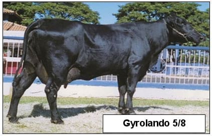 Cruzamientos Estratégicos En Ganado Bovino Para La Producción De Leche En El Trópico - Image 3