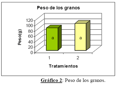 Utilización de inoculantes conteniendo Azospirillum en el cultivo de sorgo granífero - Image 2