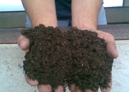 Tecnologías de bajo impacto ambiental para el tratamiento de residuales y el control del ambiente interno de los galpones. Caso Agrolomas Cía. Ltda. - Image 21