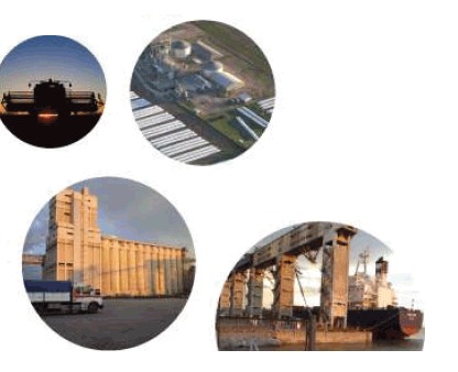 Argentina hacia la industrialización del campo - Image 2