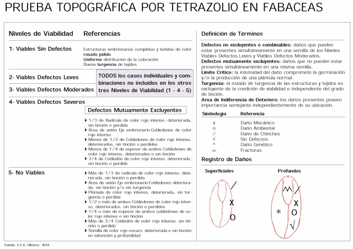 Simiente de Soja: Nuevos Patrones en Gestión de Calidad por Tetrazolio - Image 1