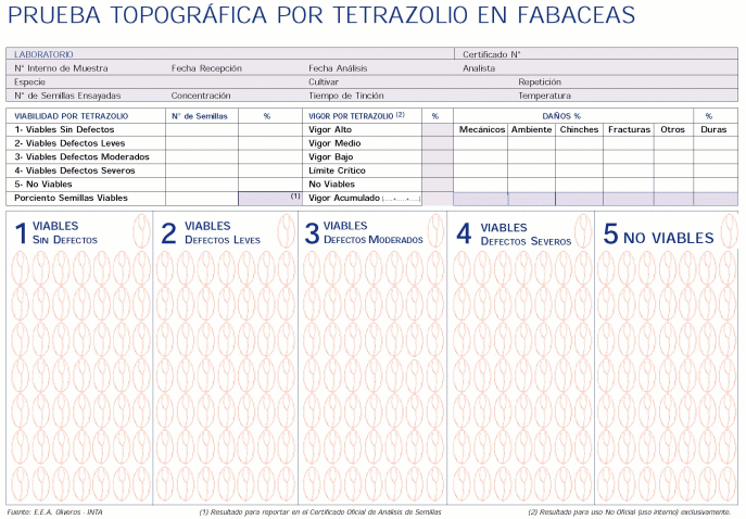 Simiente de Soja: Nuevos Patrones en Gestión de Calidad por Tetrazolio - Image 3