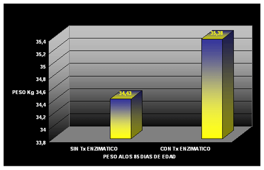 Evaluacion de la Enzima Proteasa en la Alimentación de los Cerdos - Image 6